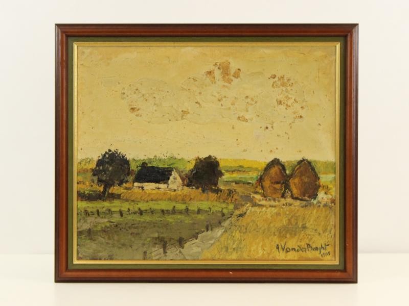Pasteus landschap André van der Borght