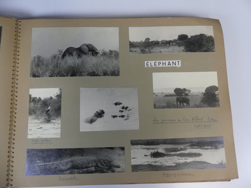 Vintage fotografie reuzelot 1 – 12 fotoalbums reizen 1948/1964