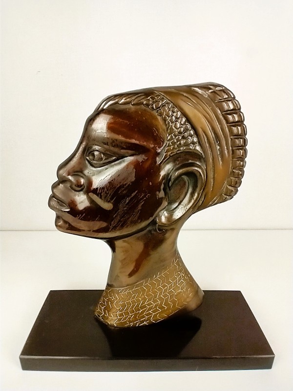 Set afrikaanse bustes