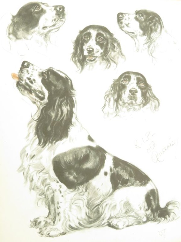Hardcover 1944 tekeningen Diana Thorne's dogs.