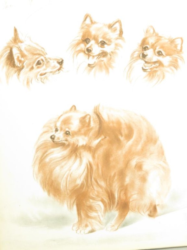 Hardcover 1944 tekeningen Diana Thorne's dogs.