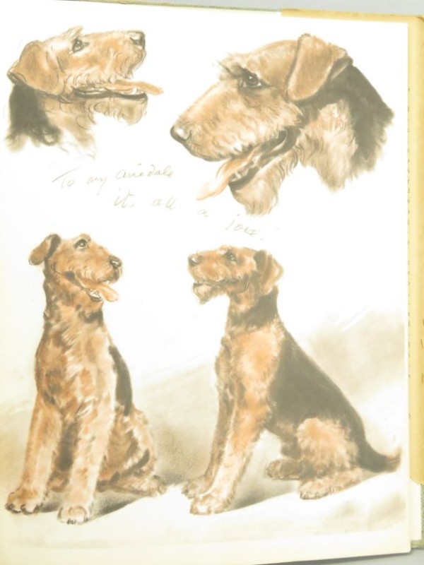 Hardcover 1944 tekeningen Diana Thorne's dogs.