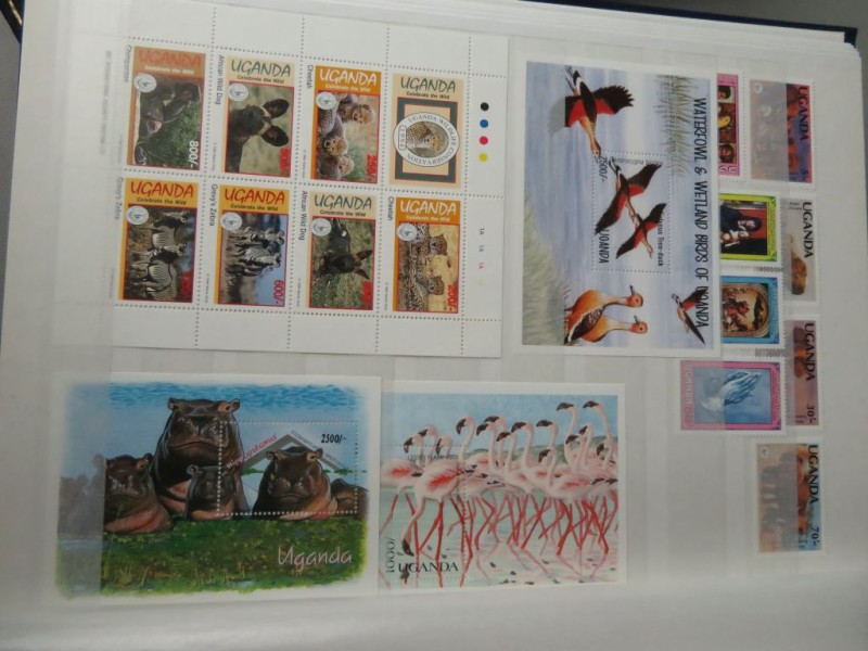 Lot van vijf gevulde postzegelalbums "Africa"