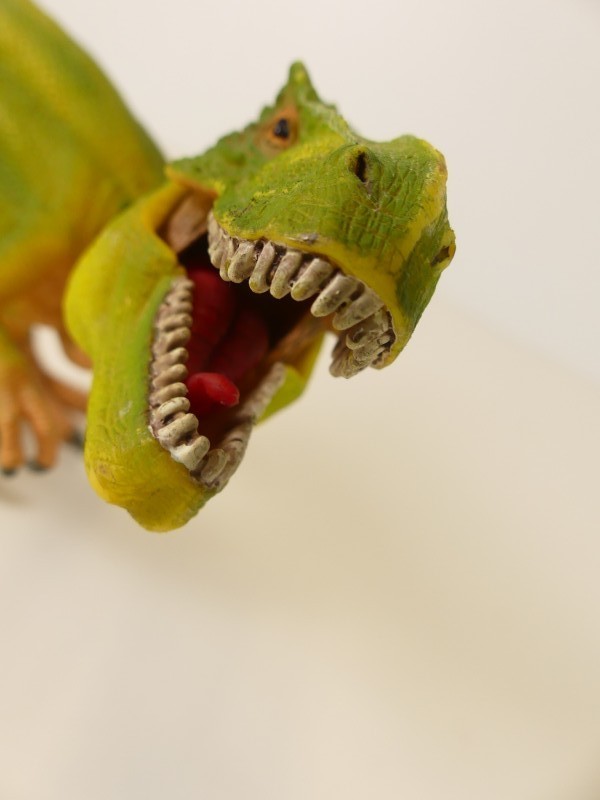 Schleich dinosaurussen figuren (2)