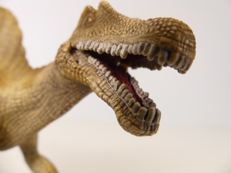 Schleich dinosaurussen figuren (2)