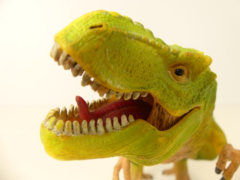 Schleich dinosaurussen figuren (2)