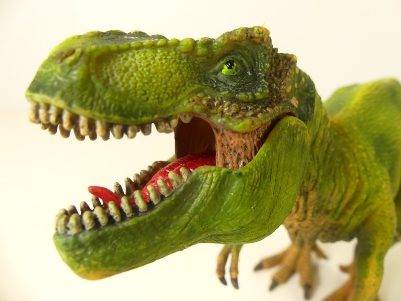 Schleich dinosaurussen figuren (2)