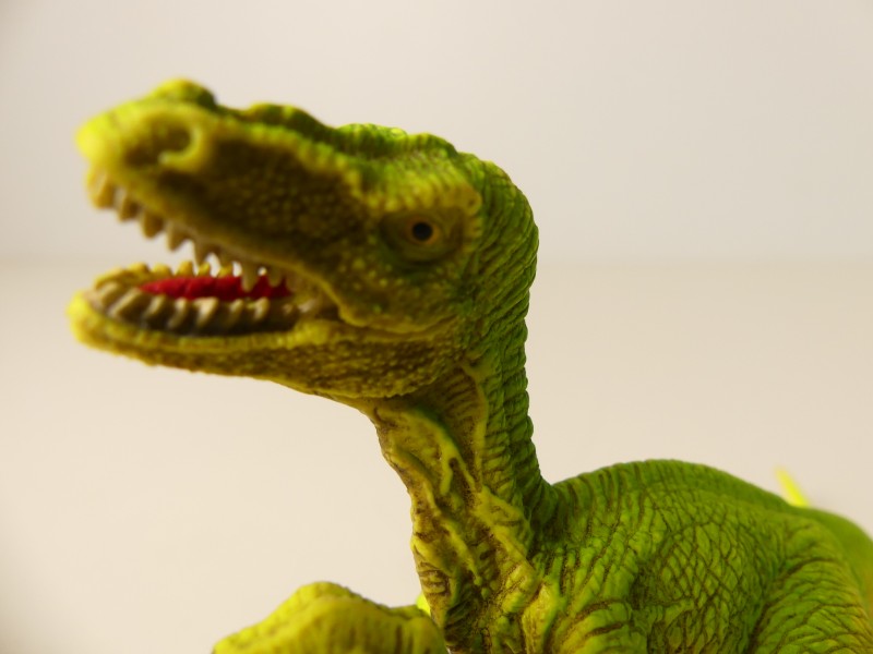 Schleich dinosaurussen figuren (2)