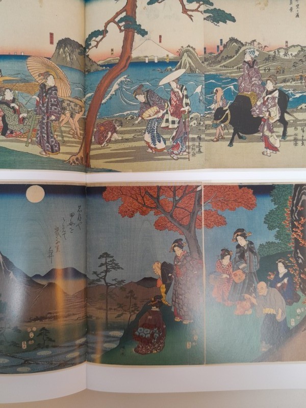 Boek: Ukiyo-e - De mooiste Japanse prenten