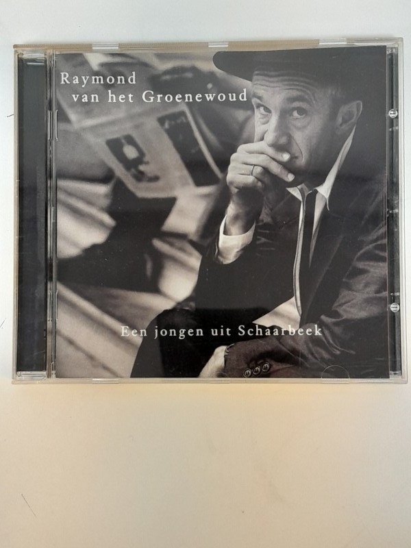 Lot van 8 cd's Raymond van het Groenewoud