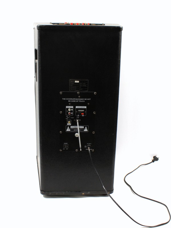 Professional Audio System Model F55A