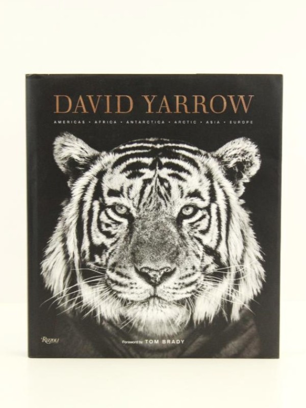 Salontafelboek natuurfotografie David Yarrow