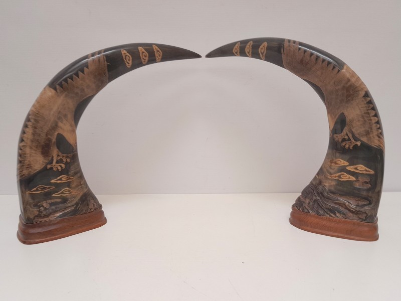 Set van 2 gegraveerde waterbuffel hoorns