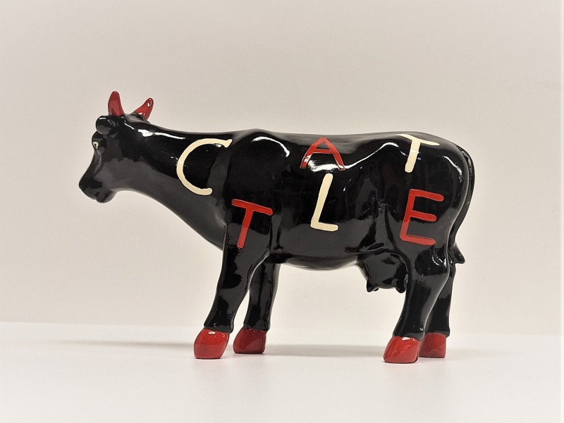 Zwarte koe 'Cattle'