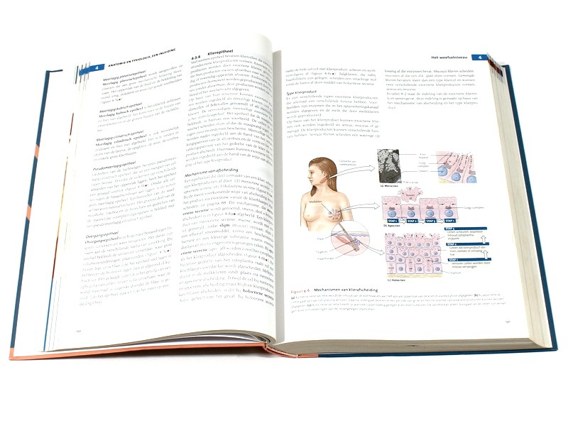 Boek 'Anatomie en fysiologie, een inleiding'