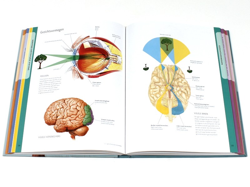 Boek 'Anatomie van het menselijk lichaam'
