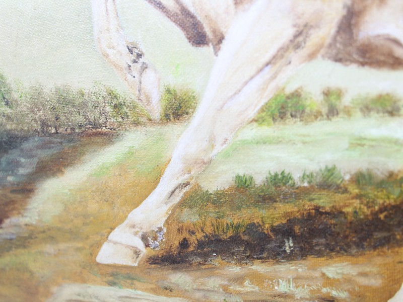 Schilderij op doek - Paard aangevallen door Leeuw - 1979 AV Dam