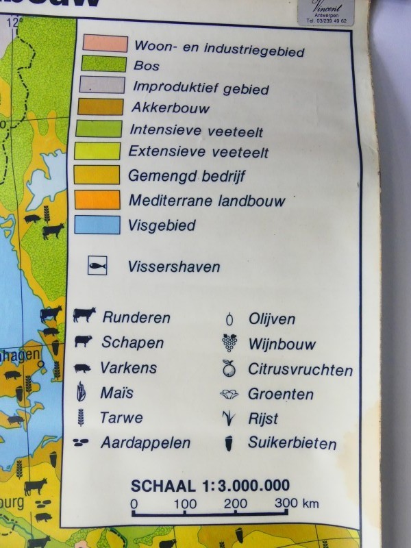 Vintage – Economie in West-Europa – 3 schoolkaarten - 1977