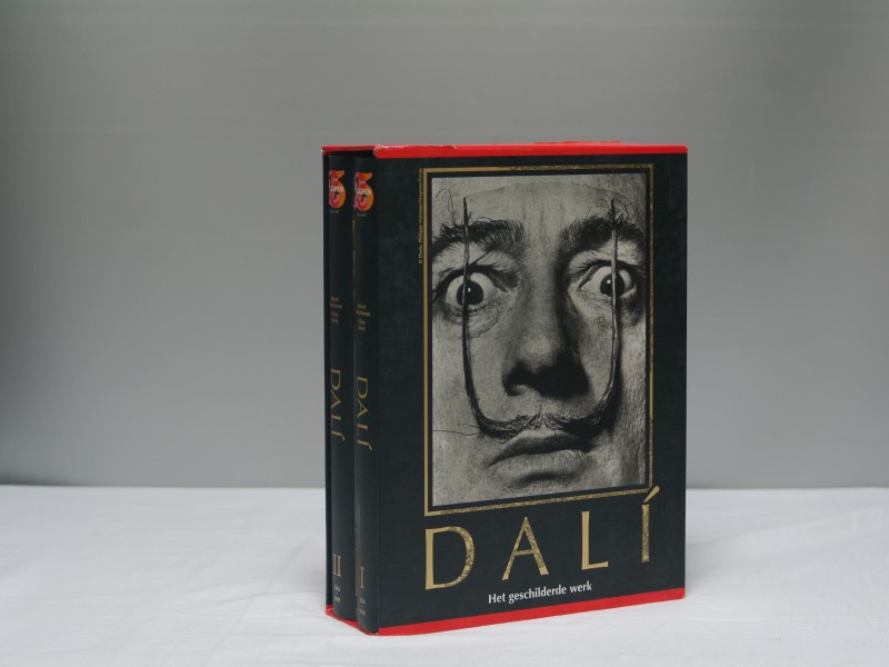 Schuifdoos "Dali, het geschilderde werk" (Art. nr. B-9)