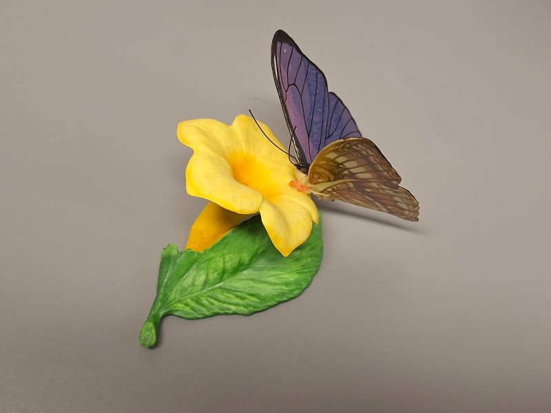 Franklin Mint Butterfly collectie 1