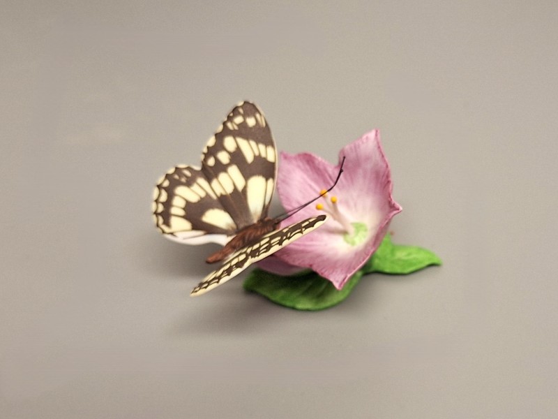 Franklin Mint Butterfly collectie 2