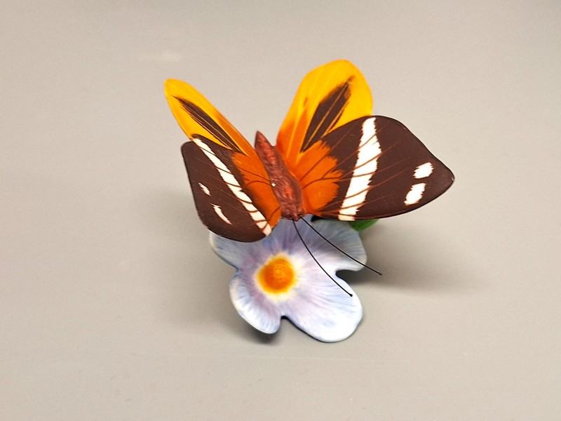 Franklin Mint Butterfly collectie 1