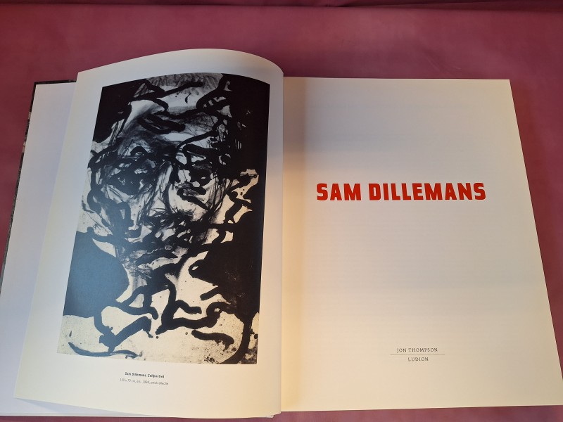 Boek Sam Dillemans