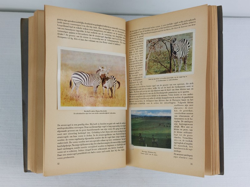 duo boeken fauna congo