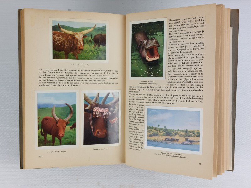 duo boeken fauna congo