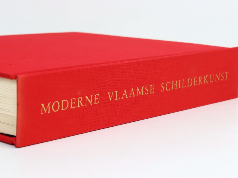 Boek Moderne Vlaamse Schilderkunst