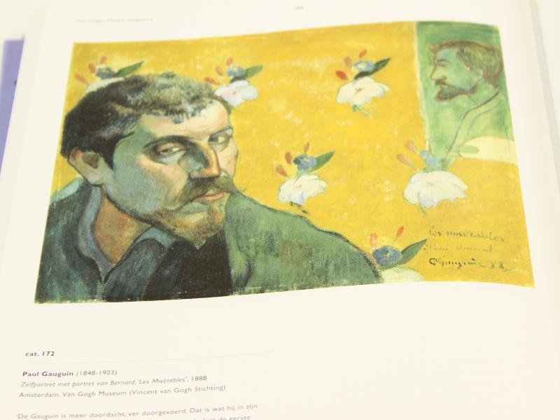 De Keuze Van Vincent Van Goghs Musee Imaginaire + De Wereld Van Van Gogh