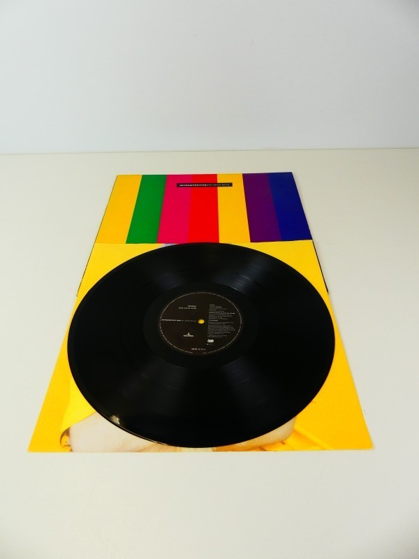 2 Vinyl Pet Shop Boys