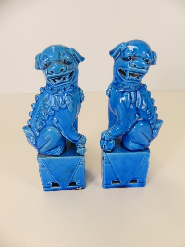 2 Aziatische Foo Dogs of tempelbewakers