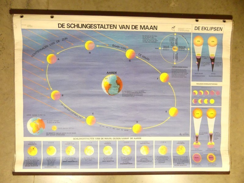 Schoolkaart De jaargetijden aarde + schijngestalten maan