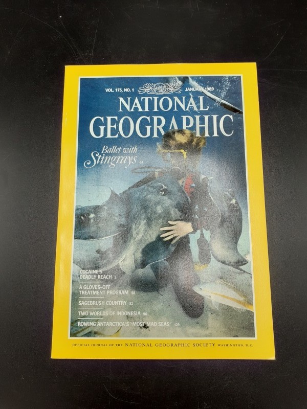 National Geographic magazines 1989 (pakket 6)