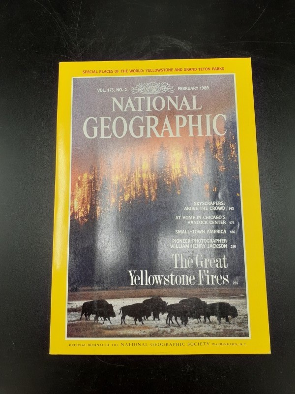 National Geographic magazines 1989 (pakket 6)