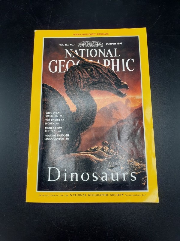 National Geographic magazines 1993 (pakket 8)