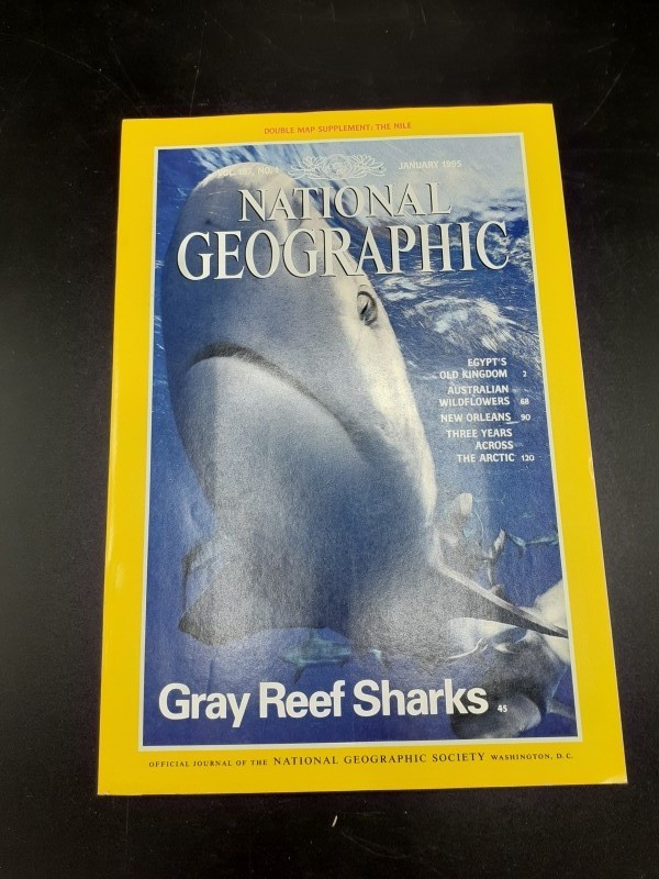 National Geographic magazines 1995 (pakket 10)