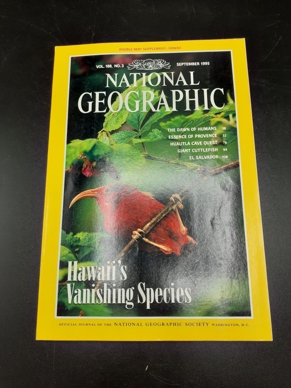 National Geographic magazines 1995 (pakket 10)