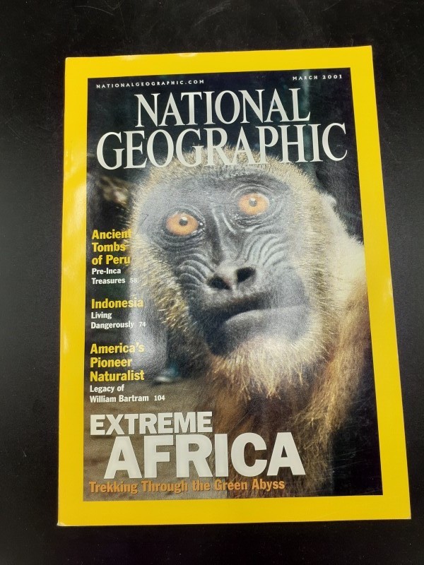 National Geographic magazines 1999, 2001-2002 (pakket 12)