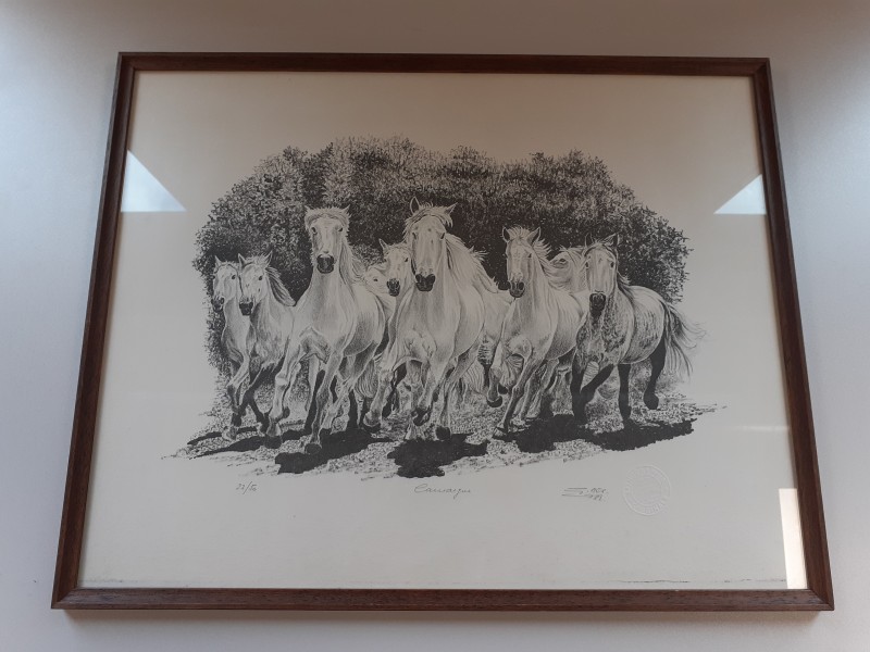 "Camargue" lithografie van Guy Desarzens