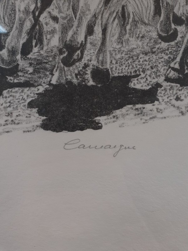 "Camargue" lithografie van Guy Desarzens