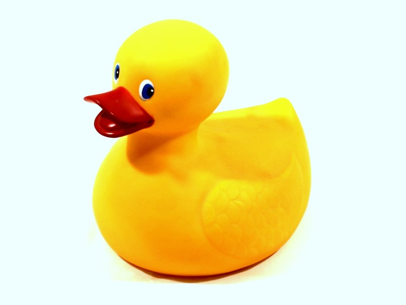 Rubber Duck