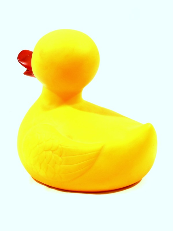 Rubber Duck