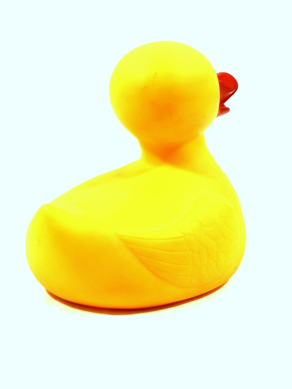 Rubber Duck