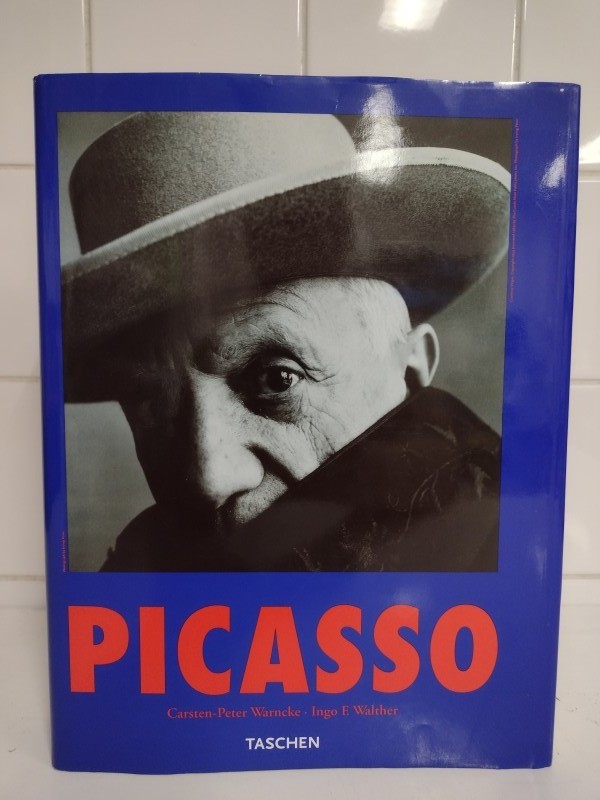 Boek Picasso