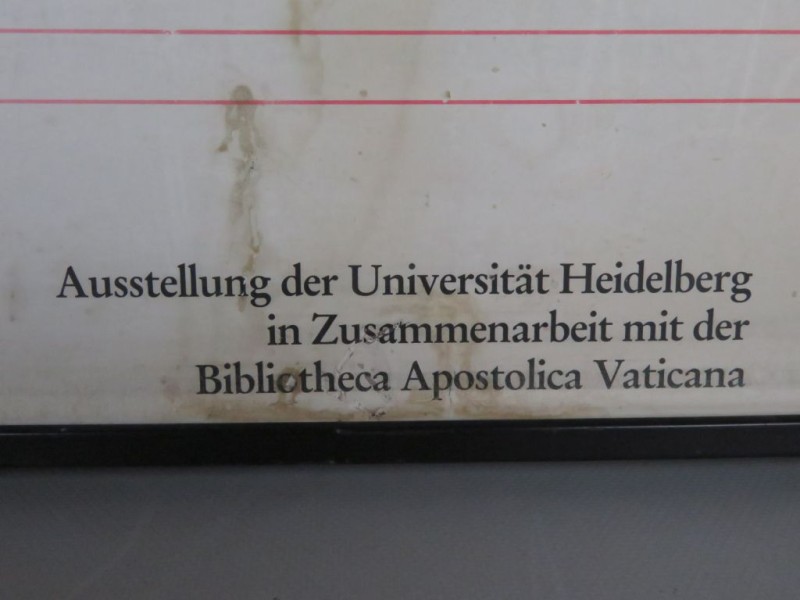 Kunstkader "Biblioteca Palatina" groot