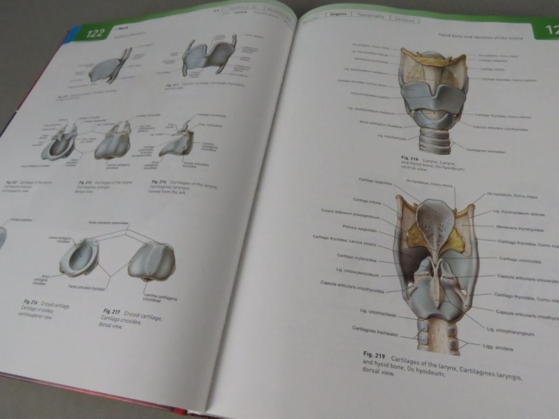 Boek Atlas of Human Anatomy Deel 1 Engels