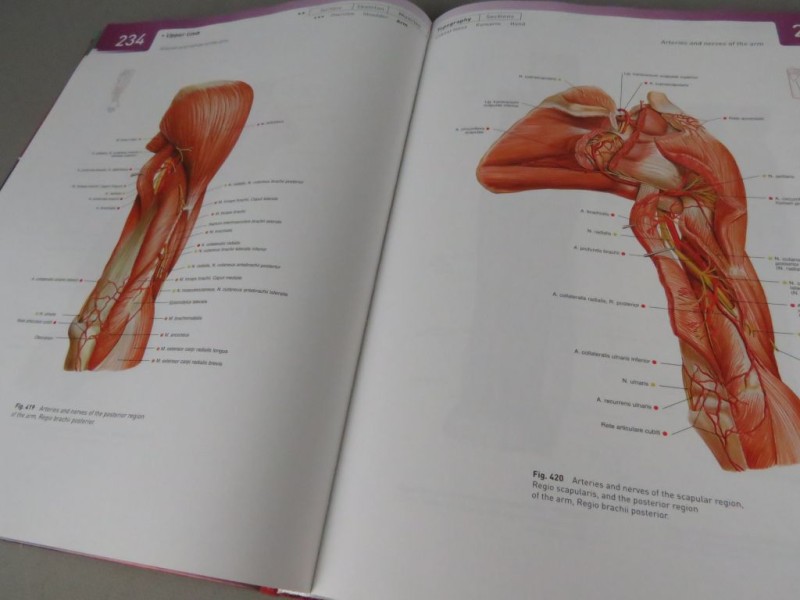 Boek Atlas of Human Anatomy Deel 1 Engels