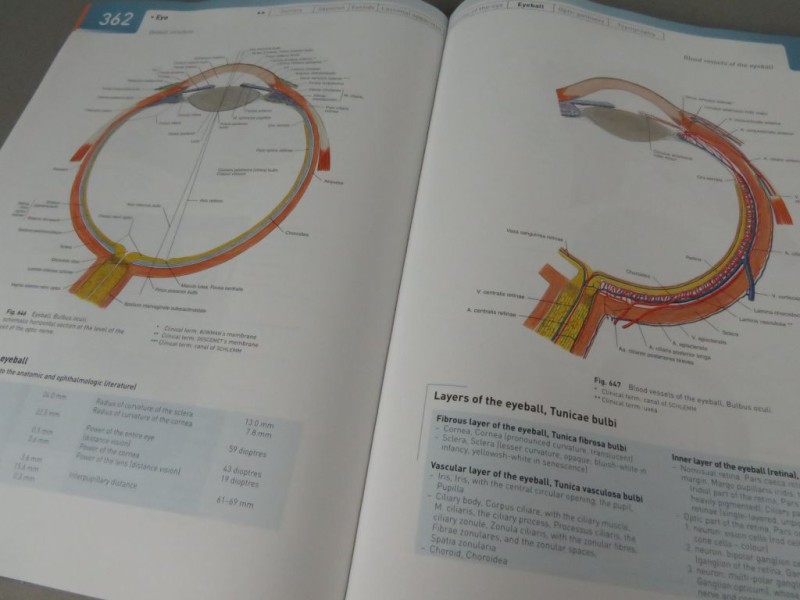 Boek Atlas of Human Anatomy Deel 1 Engels